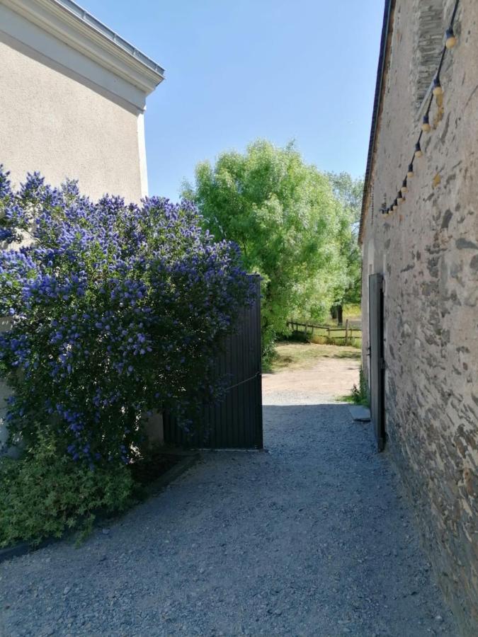 La Petite Boire - Chambres D'Hotes Pres D'Angers Murs-Erigne Εξωτερικό φωτογραφία