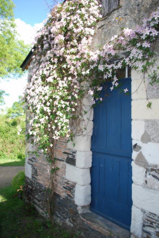 La Petite Boire - Chambres D'Hotes Pres D'Angers Murs-Erigne Εξωτερικό φωτογραφία